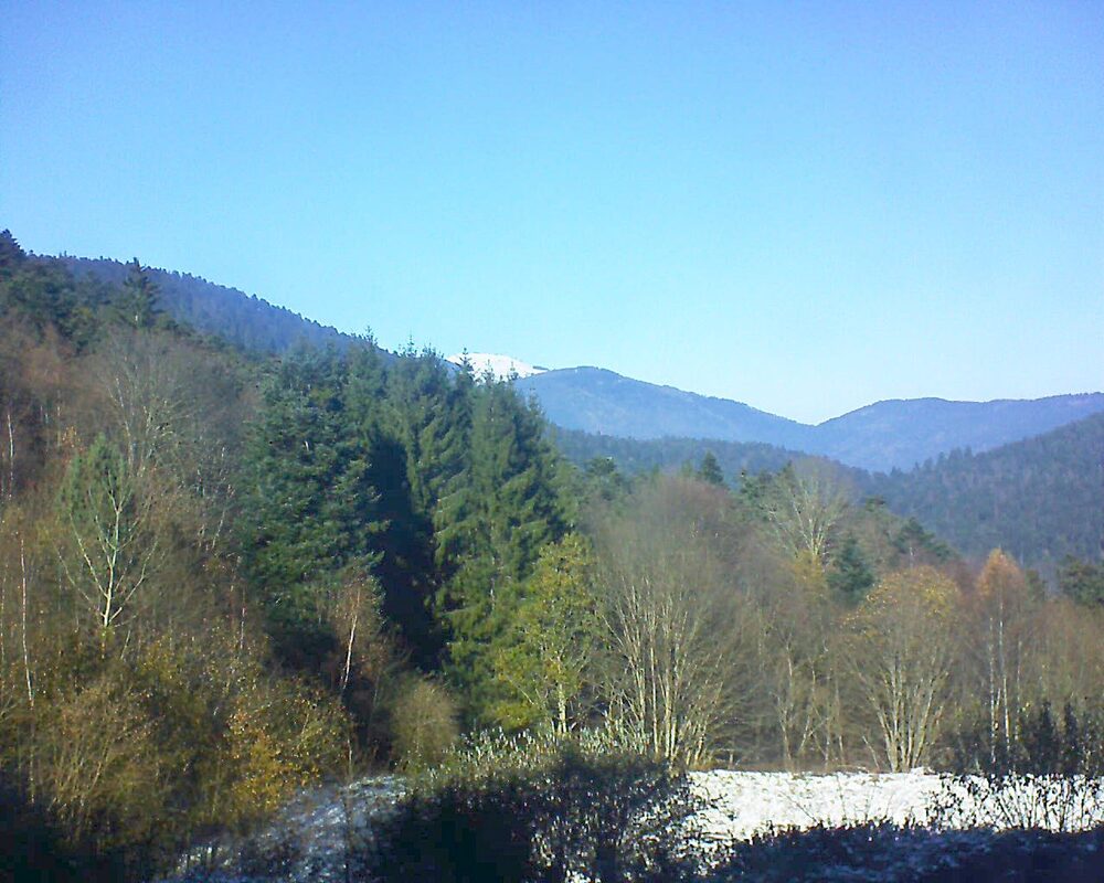 Le petit ballon (Alsace, Vosges) le 22.11.2025 à 13:00