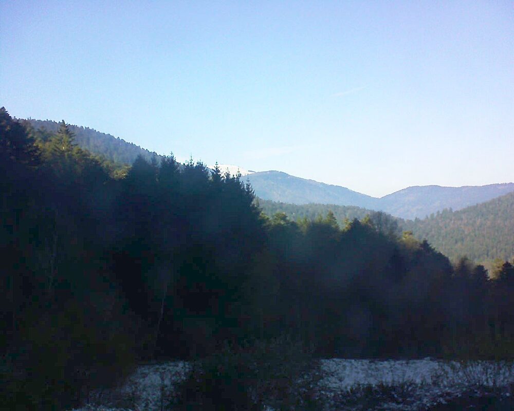 Le petit ballon (Alsace, Vosges) le 22.11.2025 à 14:00
