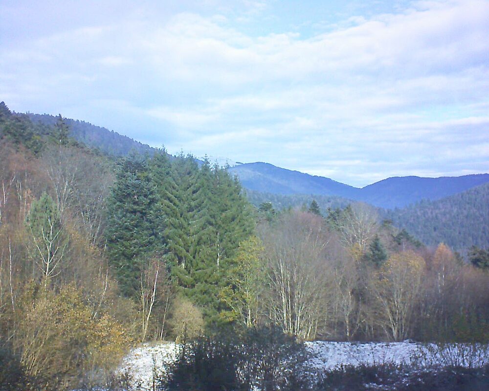 Le petit ballon (Alsace, Vosges) le 23.11.2025 à 11:45