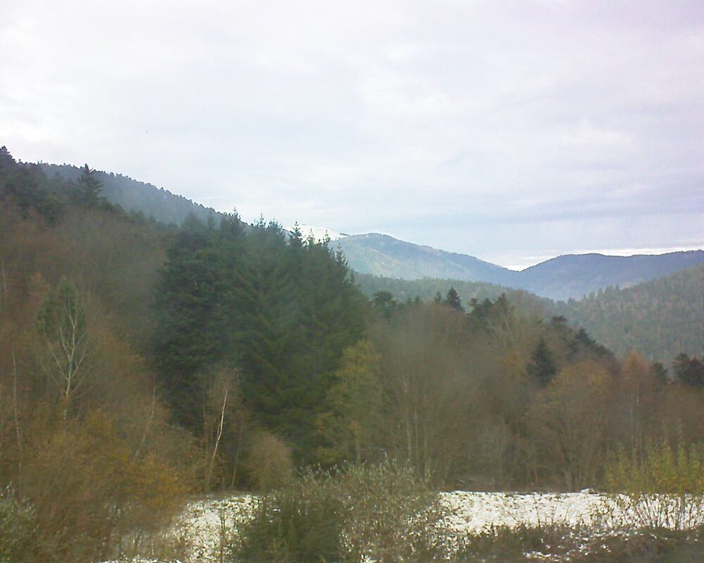 Le petit ballon (Alsace, Vosges) le 23.11.2025 à 12:45