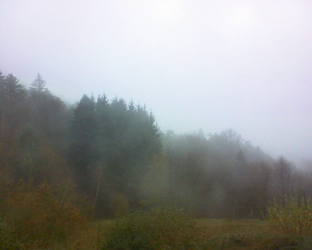 Le petit ballon (Alsace, Vosges) le 24.11.2025 à 12:45