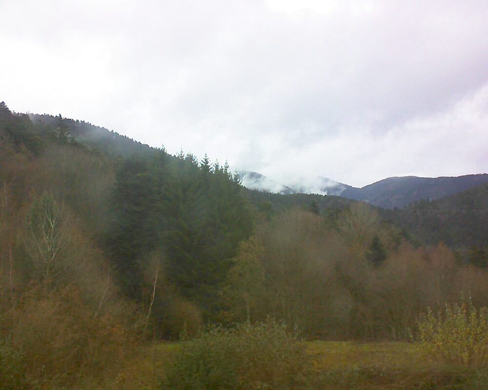 Le petit ballon (Alsace, Vosges) le 25.11.2025 à 11:45