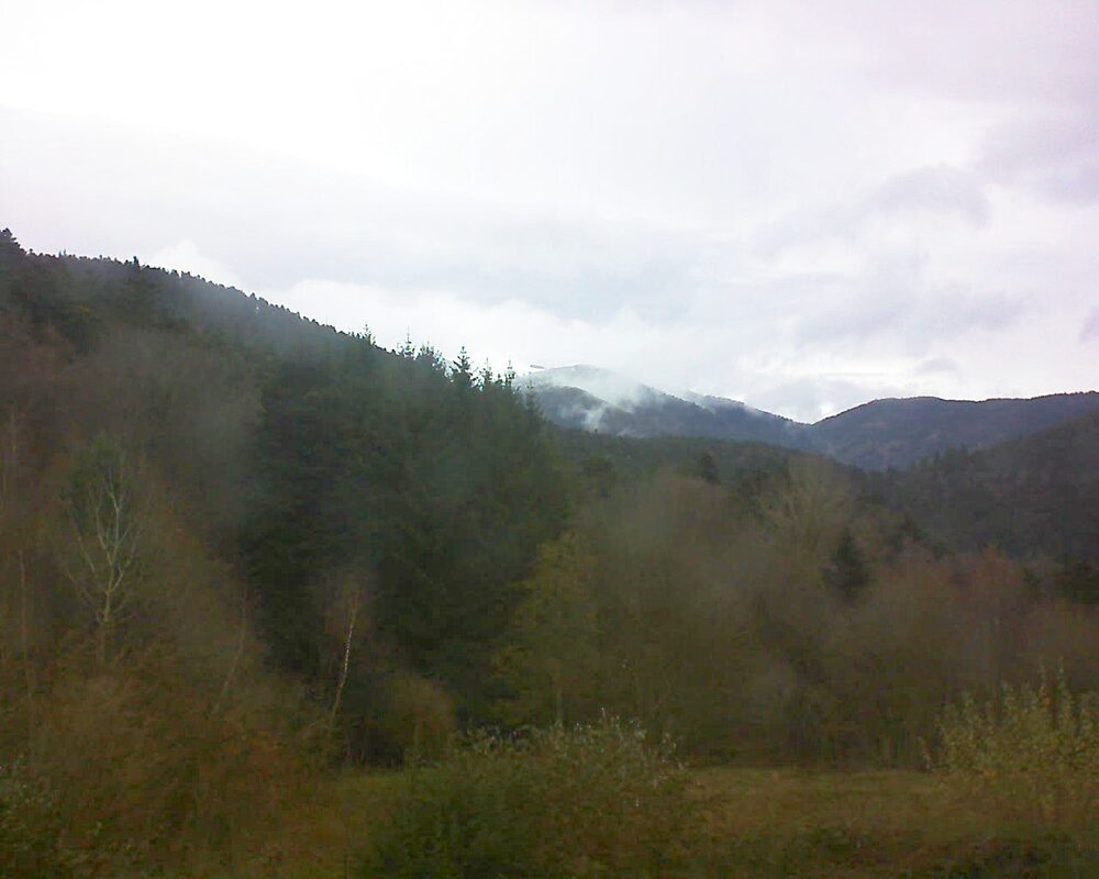 Le petit ballon (Alsace, Vosges) le 25.11.2025 à 12:45