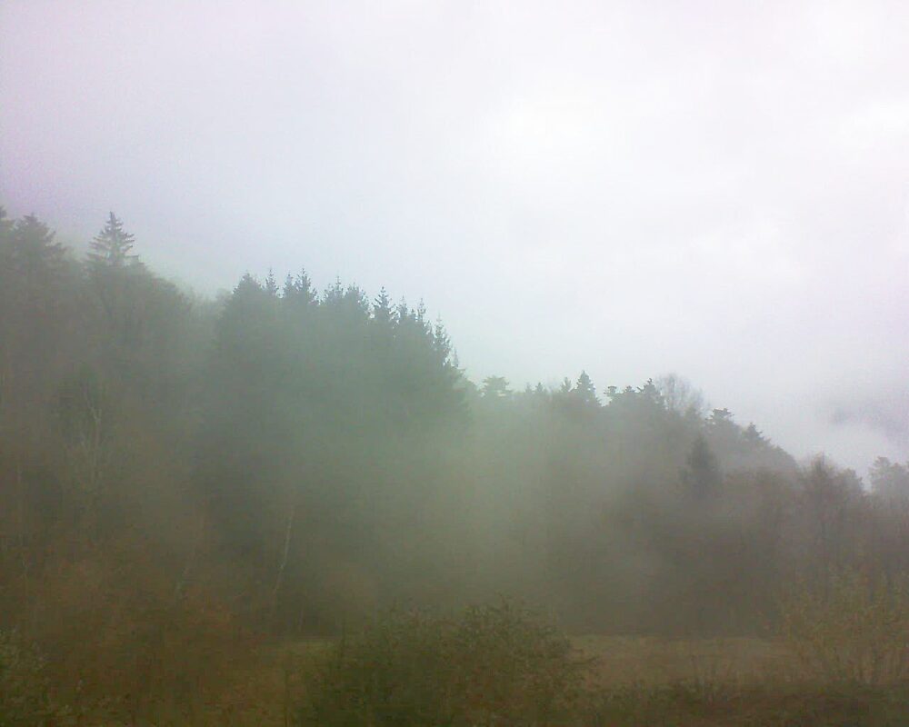 Le petit ballon (Alsace, Vosges) le 26.11.2025 à 12:15