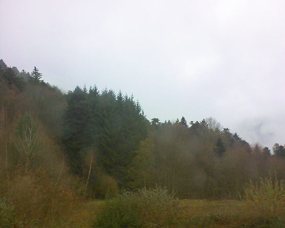 Le petit ballon (Alsace, Vosges) le 26.11.2025 à 12:45