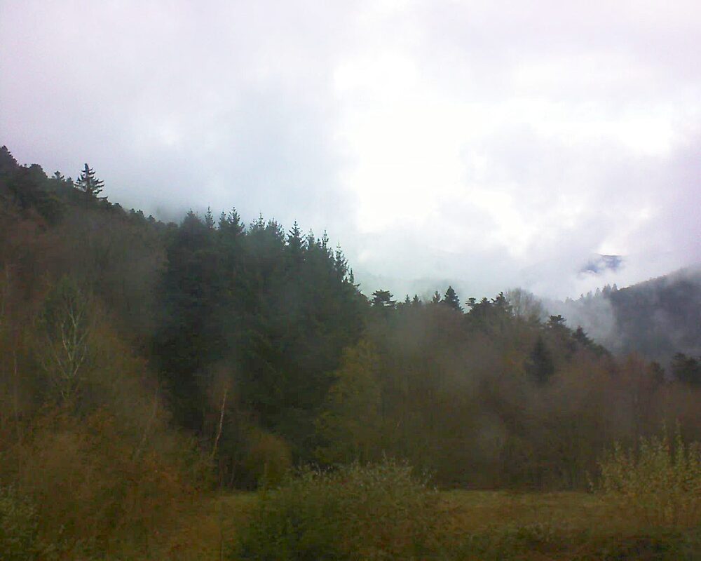 Le petit ballon (Alsace, Vosges) le 26.11.2025 à 13:00