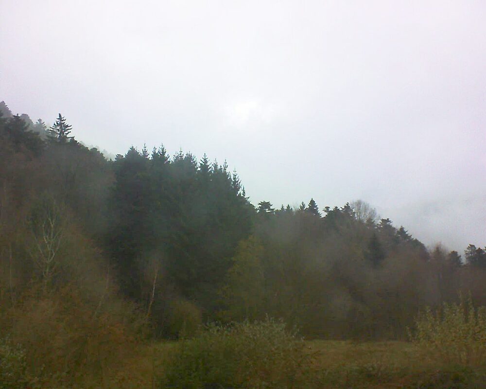 Le petit ballon (Alsace, Vosges) le 26.11.2025 à 14:00