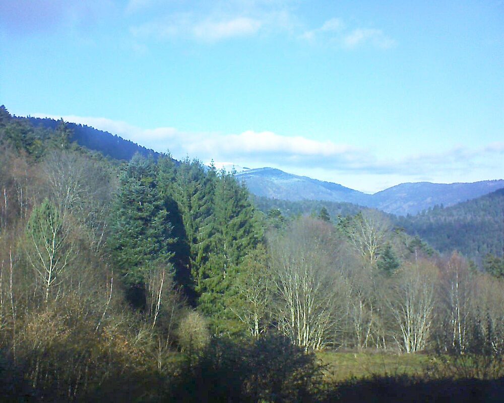 Le petit ballon (Alsace, Vosges) le 27.11.2025 à 12:45