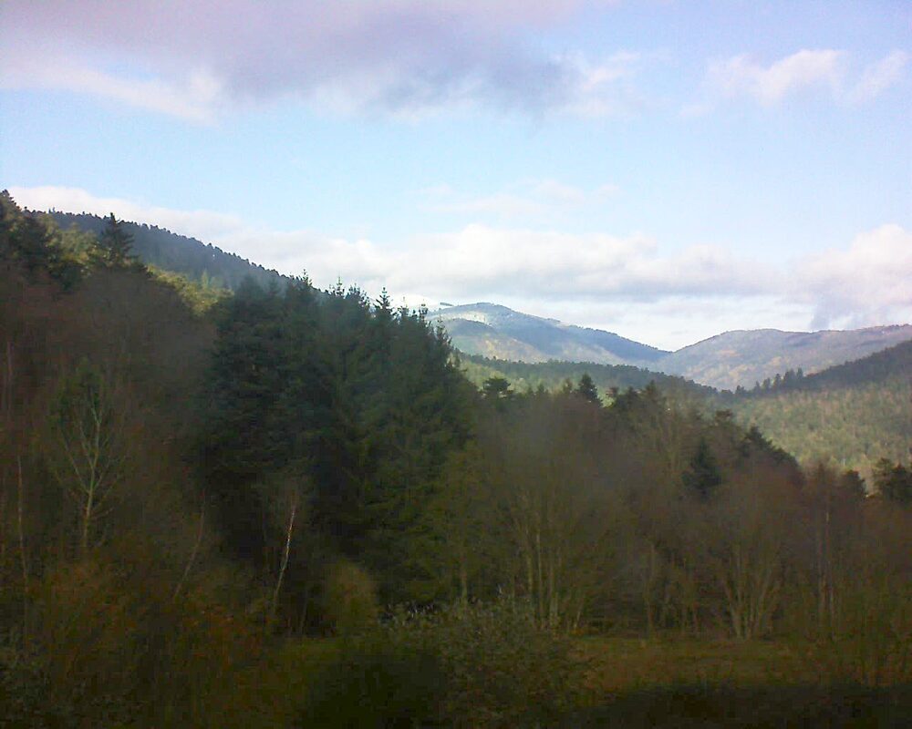 Le petit ballon (Alsace, Vosges) le 27.11.2025 à 13:00