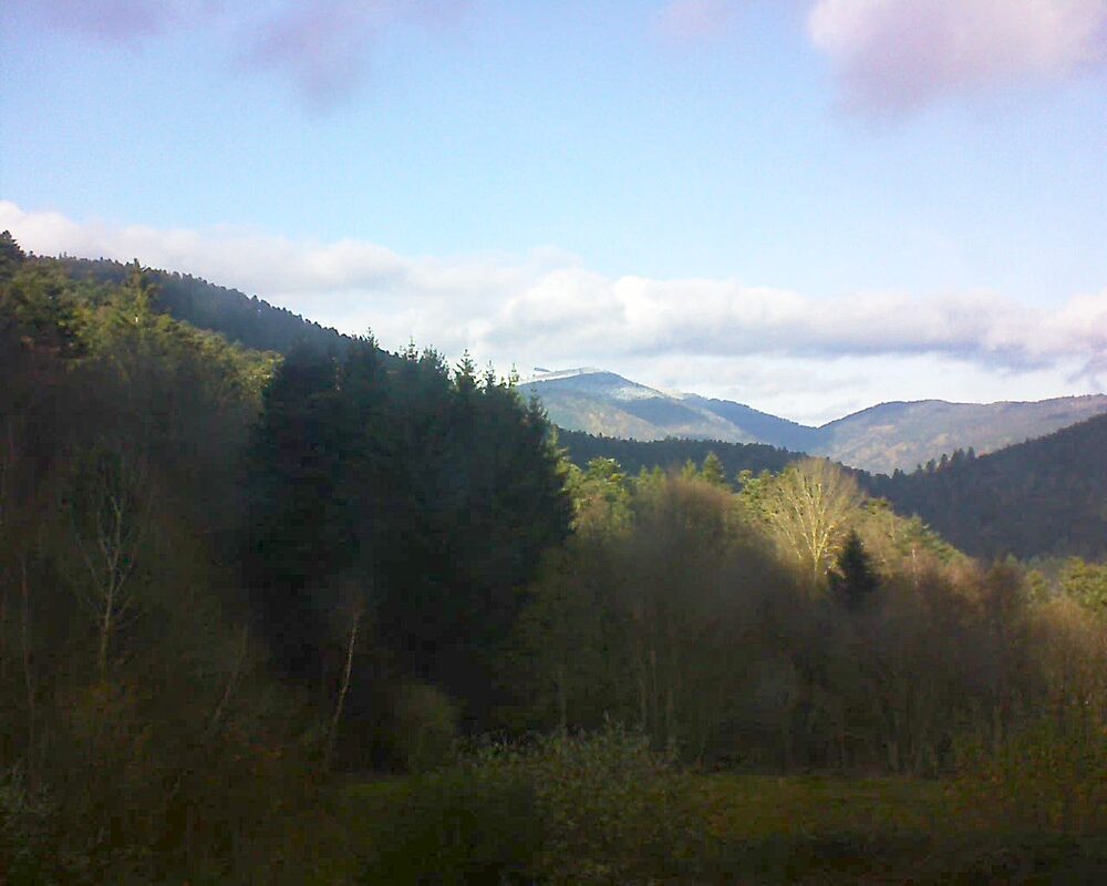 Le petit ballon (Alsace, Vosges) le 27.11.2025 à 13:30