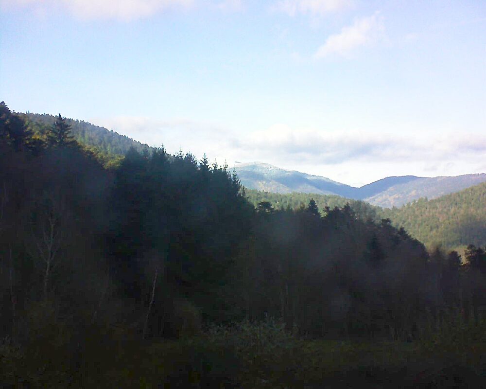 Le petit ballon (Alsace, Vosges) le 27.11.2025 à 14:00