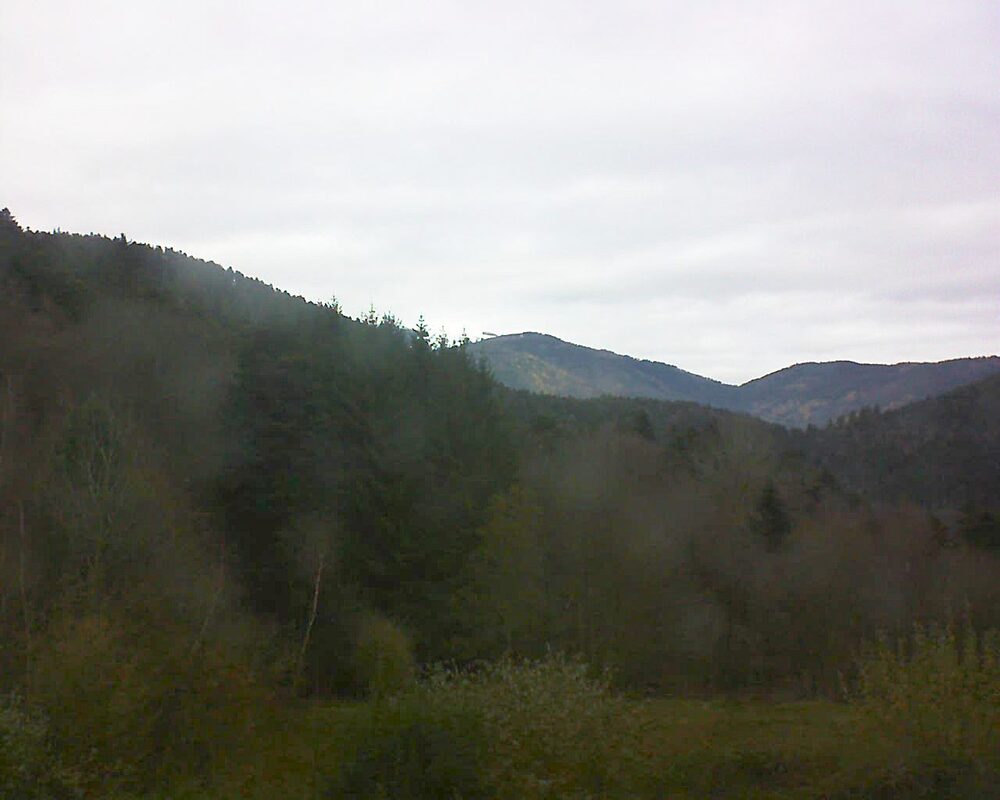 Le petit ballon (Alsace, Vosges) le 28.11.2025 à 10:30