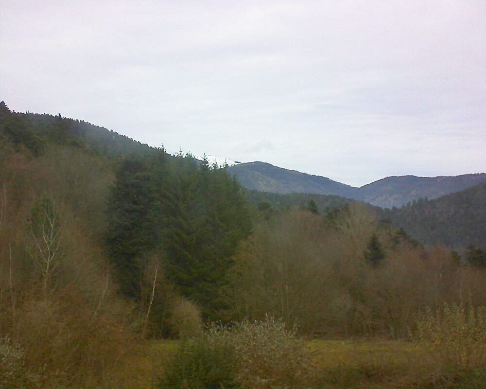 Le petit ballon (Alsace, Vosges) le 28.11.2025 à 12:45