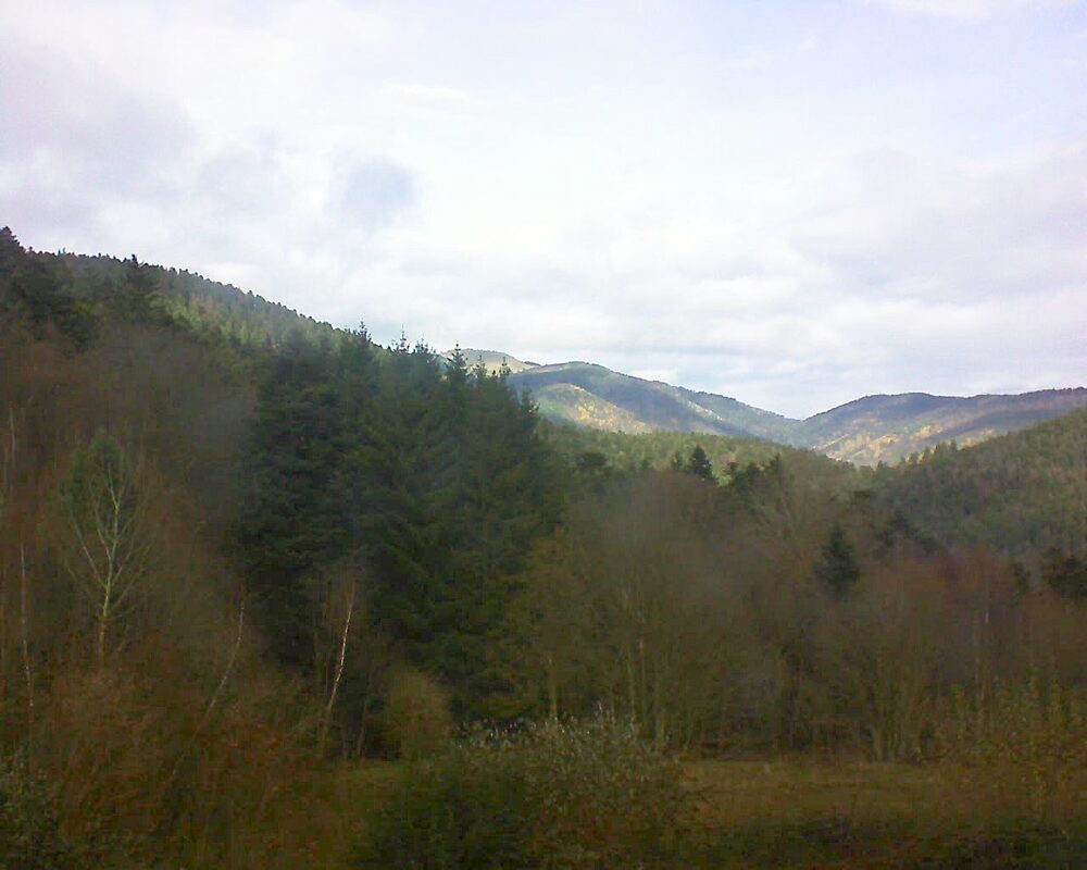 Le petit ballon vu depuis le Domaine Langmatt à Murbach le 29.11.2025 à 12:45 Le petit ballon (Alsace, Vosges) le 29.11.2025 à 12:45