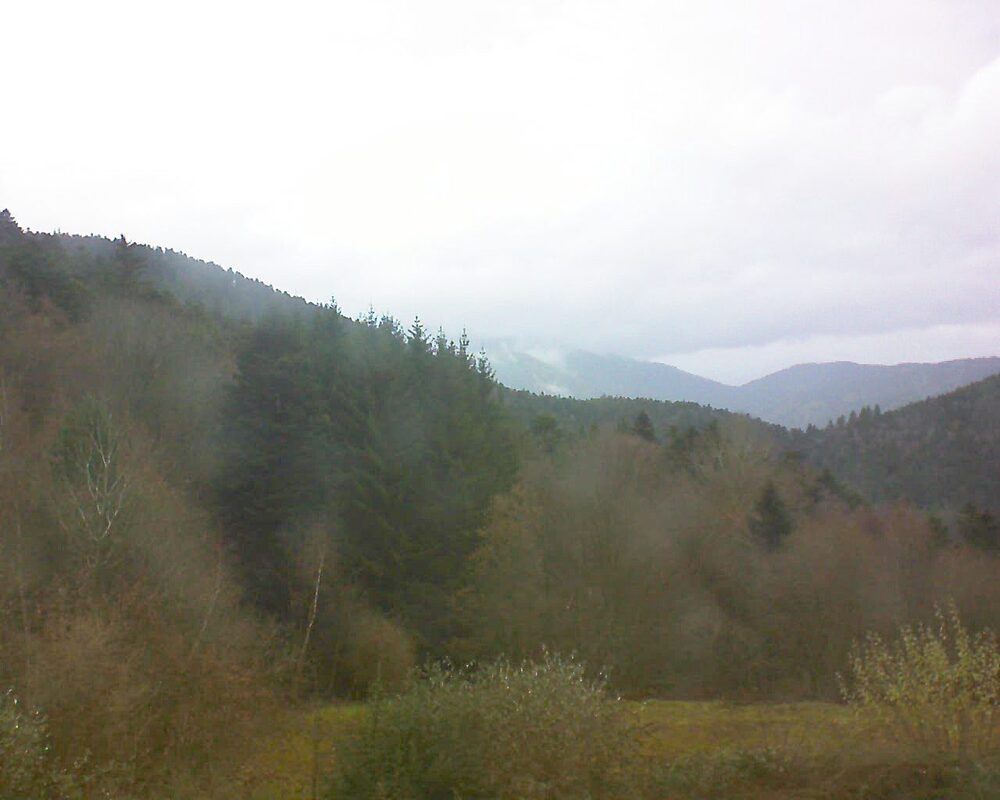 Le petit ballon (Alsace, Vosges) le 30.11.2025 à 10:45