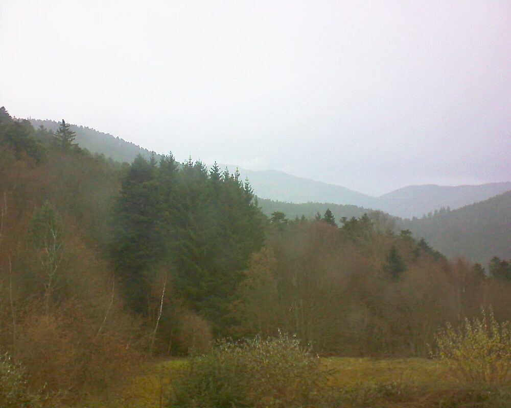 Le petit ballon (Alsace, Vosges) le 30.11.2025 à 11:45