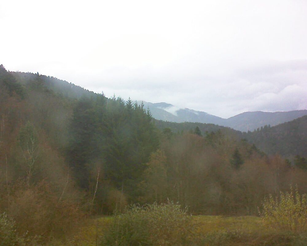Le petit ballon (Alsace, Vosges) le 30.11.2025 à 12:15