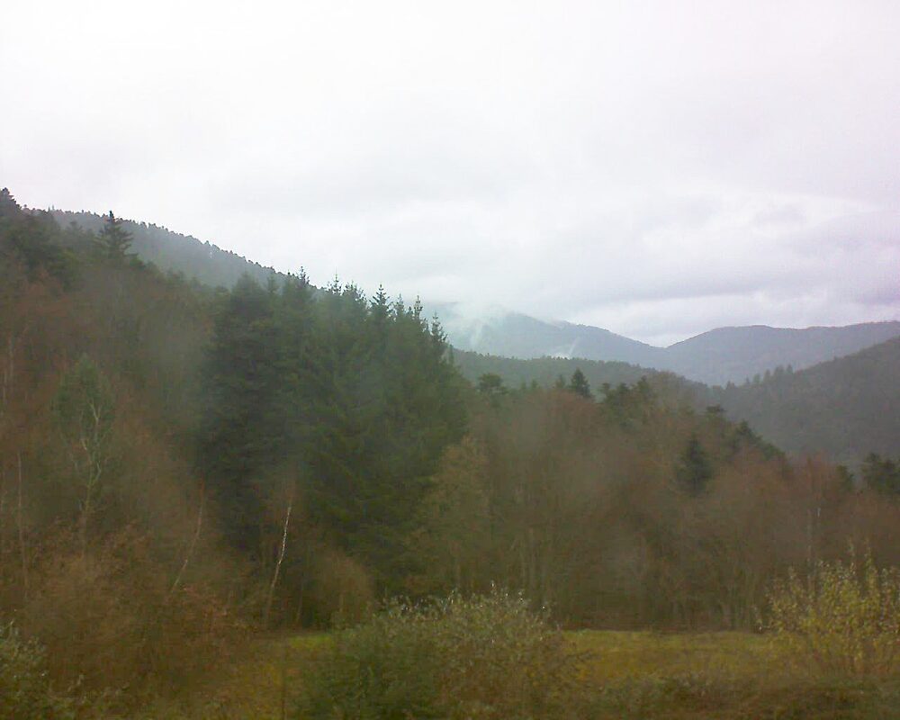 Le petit ballon (Alsace, Vosges) le 30.11.2025 à 12:30