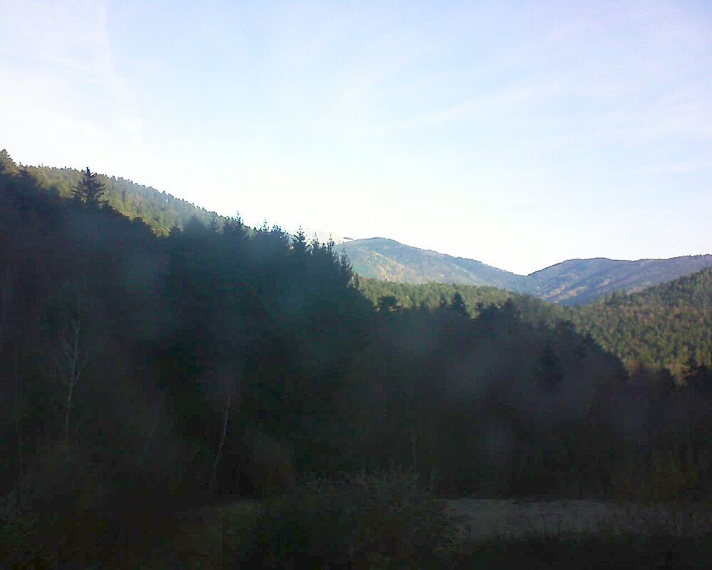 Le petit ballon (Alsace, Vosges) le 01.12.2025 à 09:45