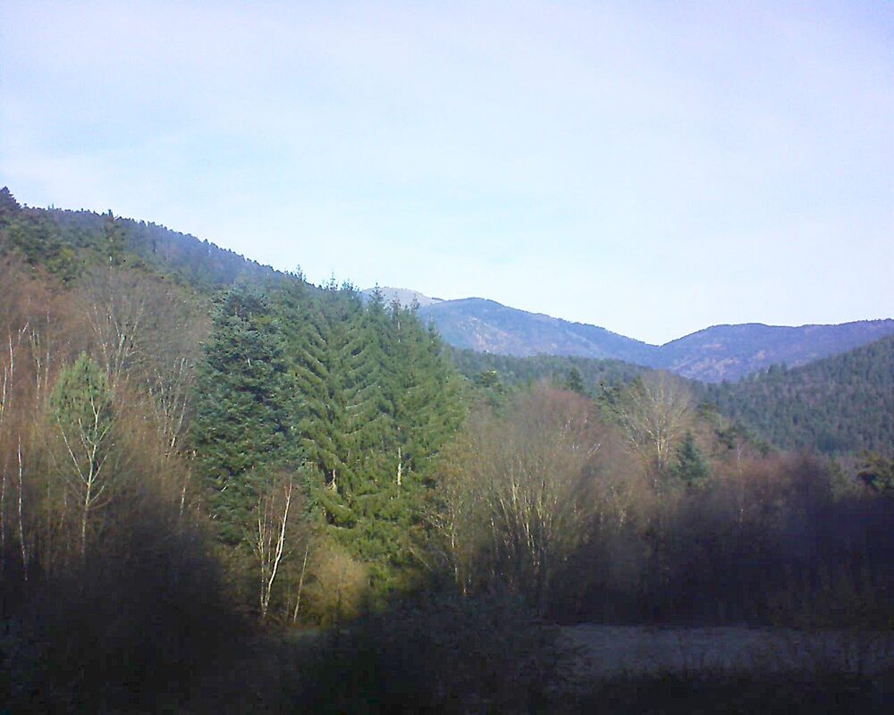 Le petit ballon (Alsace, Vosges) le 01.12.2025 à 11:30