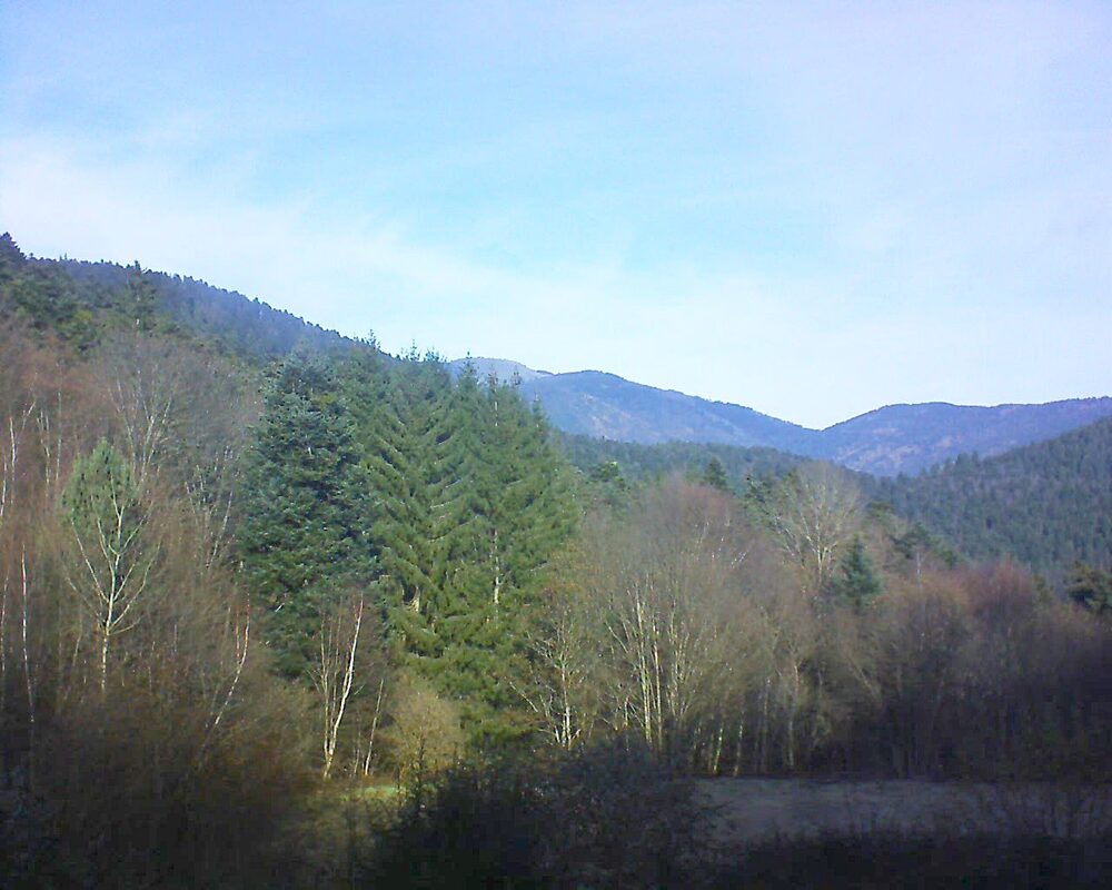 Le petit ballon (Alsace, Vosges) le 01.12.2025 à 11:45