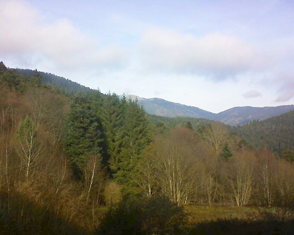 Le petit ballon vu depuis le Domaine Langmatt à Murbach le 01.12.2025 à 12:30 Le petit ballon (Alsace, Vosges) le 01.12.2025 à 12:30