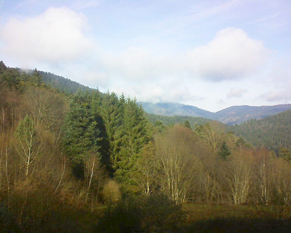 Le petit ballon (Alsace, Vosges) le 01.12.2025 à 12:45