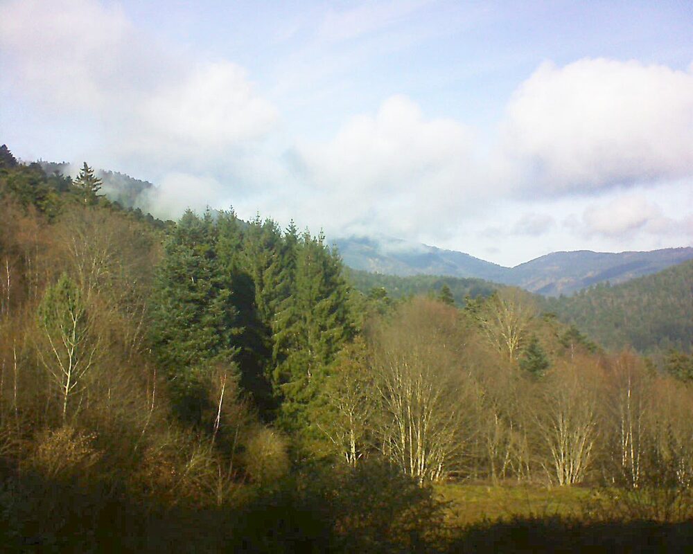 Le petit ballon (Alsace, Vosges) le 01.12.2025 à 13:00