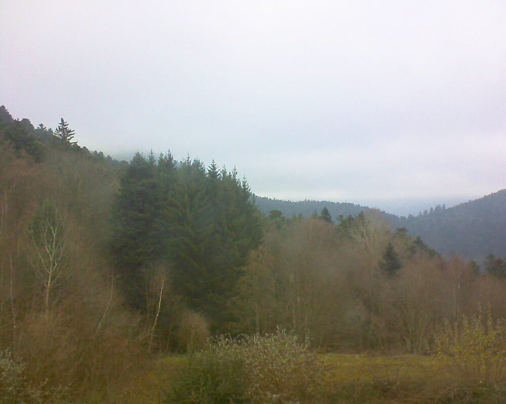 Le petit ballon (Alsace, Vosges) le 01.12.2025 à 14:30