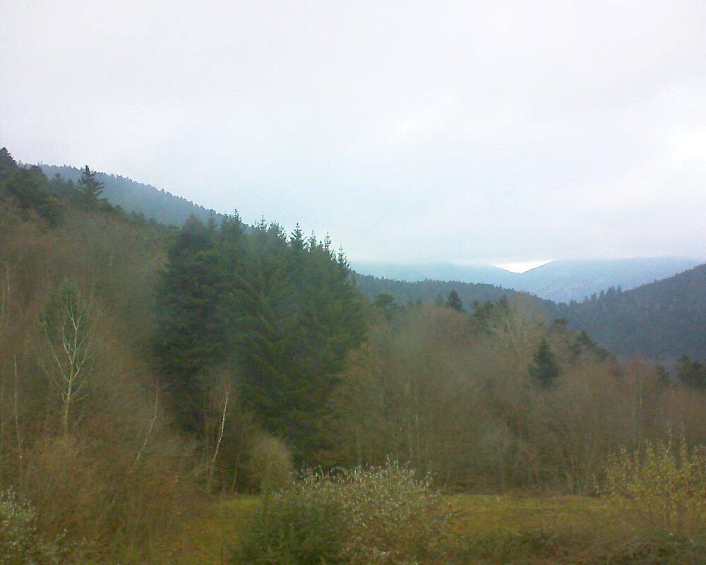 Le petit ballon (Alsace, Vosges) le 01.12.2025 à 15:45