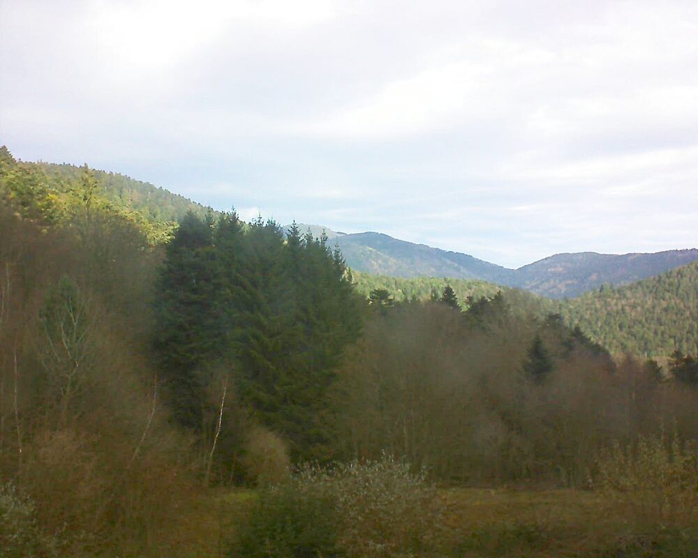 Le petit ballon (Alsace, Vosges) le 02.12.2025 à 10:45