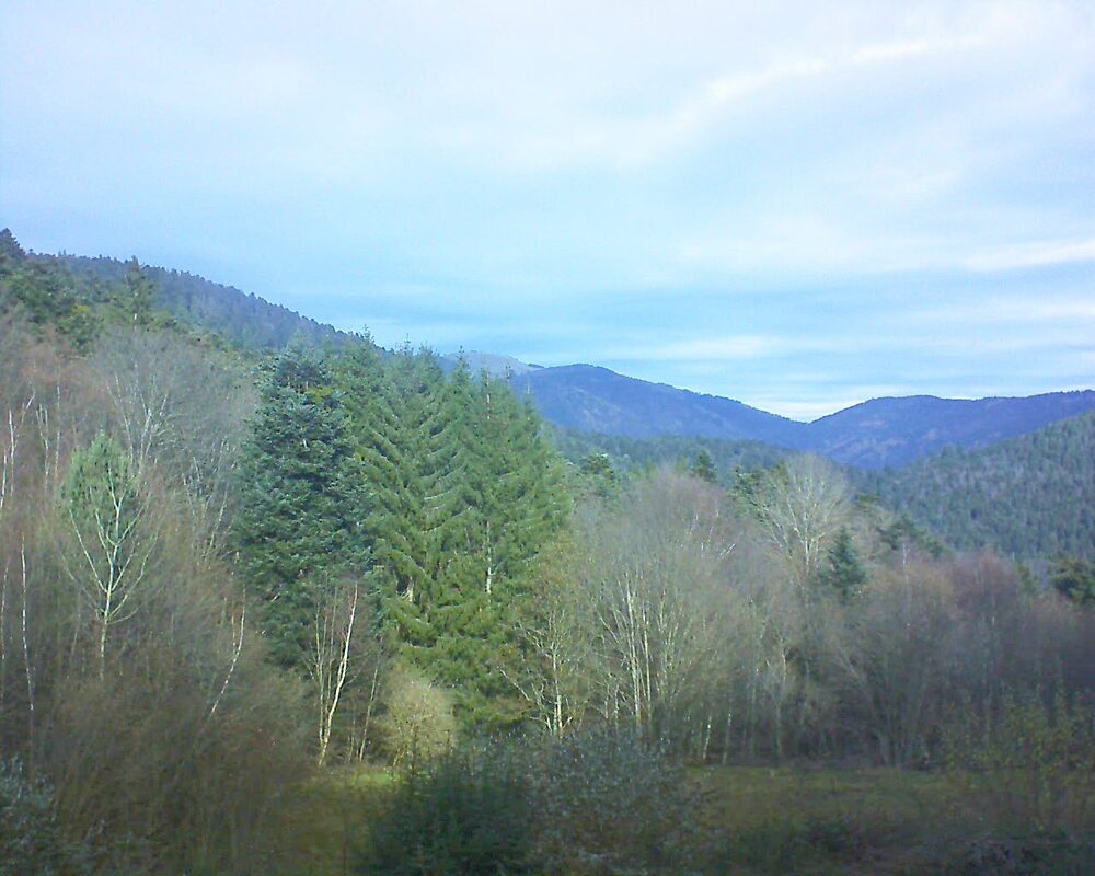 Le petit ballon (Alsace, Vosges) le 02.12.2025 à 11:45