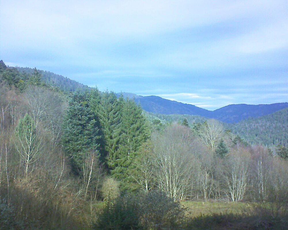 Le petit ballon vu depuis le Domaine Langmatt à Murbach le 02.12.2025 à 12:30 Le petit ballon (Alsace, Vosges) le 02.12.2025 à 12:30
