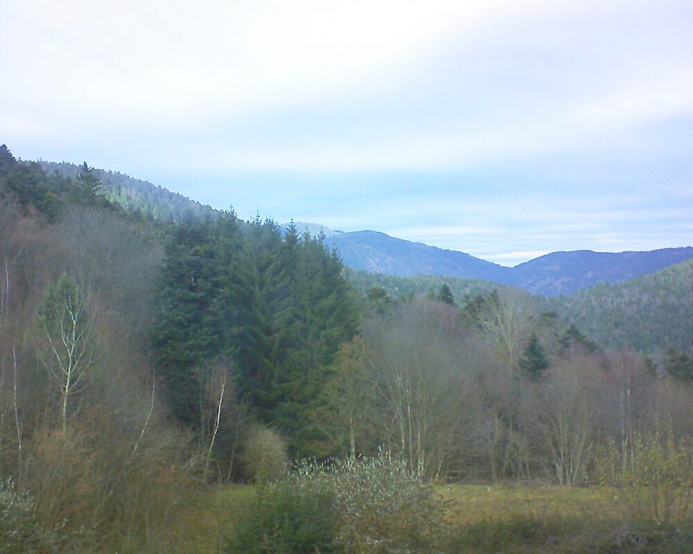 Le petit ballon vu depuis le Domaine Langmatt à Murbach le 02.12.2025 à 13:00 Le petit ballon (Alsace, Vosges) le 02.12.2025 à 13:00