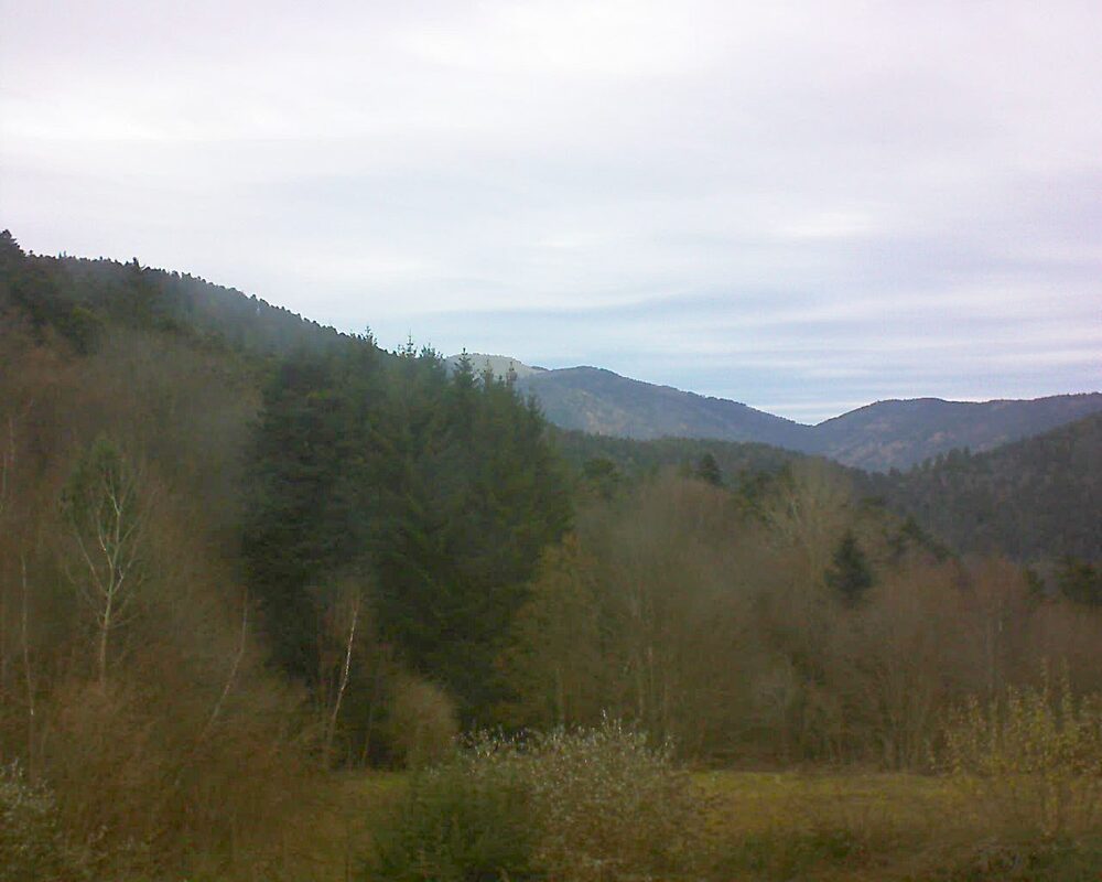 Le petit ballon (Alsace, Vosges) le 02.12.2025 à 13:30