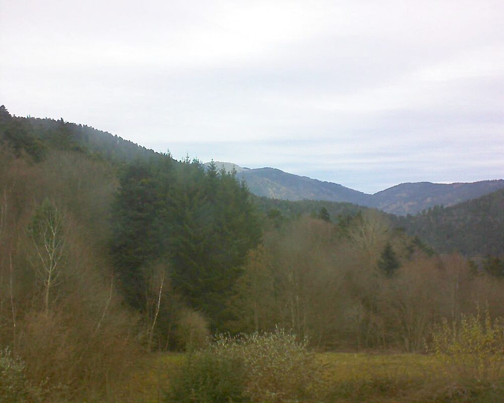 Le petit ballon (Alsace, Vosges) le 02.12.2025 à 13:45