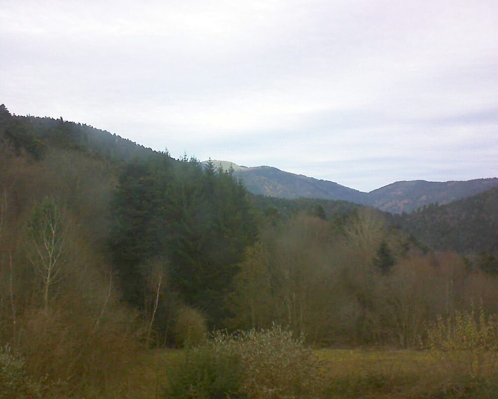 Le petit ballon vu depuis le Domaine Langmatt à Murbach le 02.12.2025 à 14:45 Le petit ballon (Alsace, Vosges) le 02.12.2025 à 14:45
