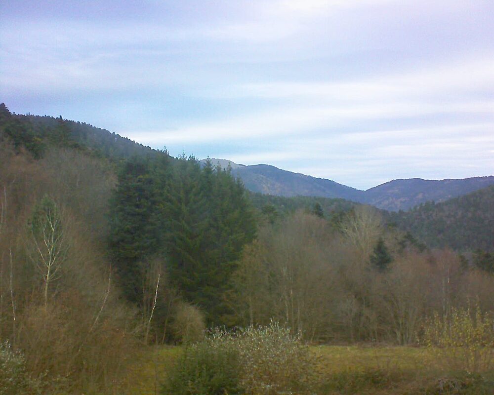 Le petit ballon (Alsace, Vosges) le 02.12.2025 à 15:45