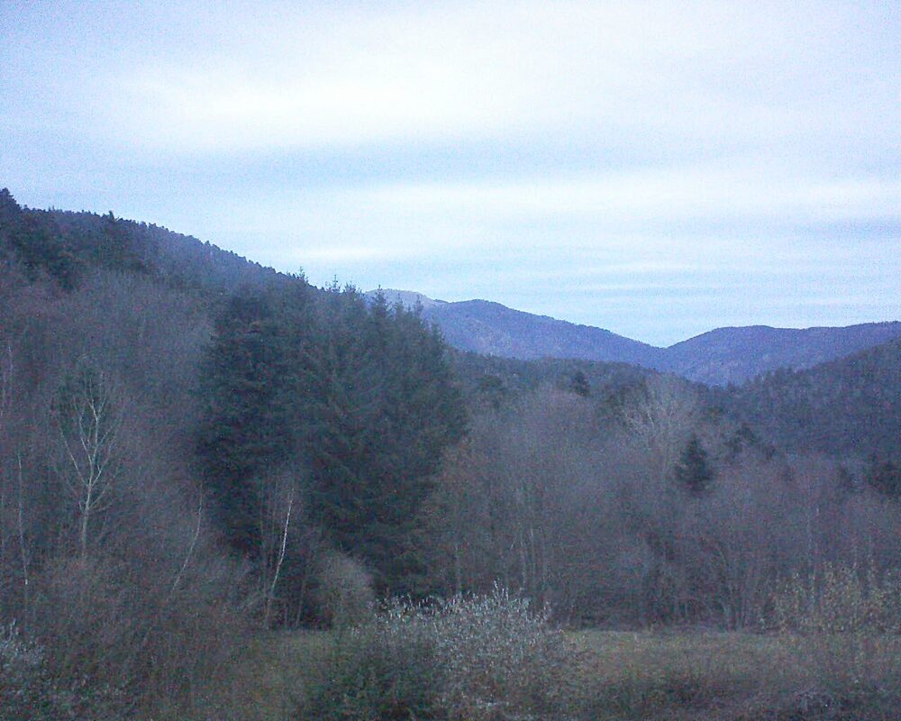 Le petit ballon (Alsace, Vosges) le 02.12.2025 à 16:45