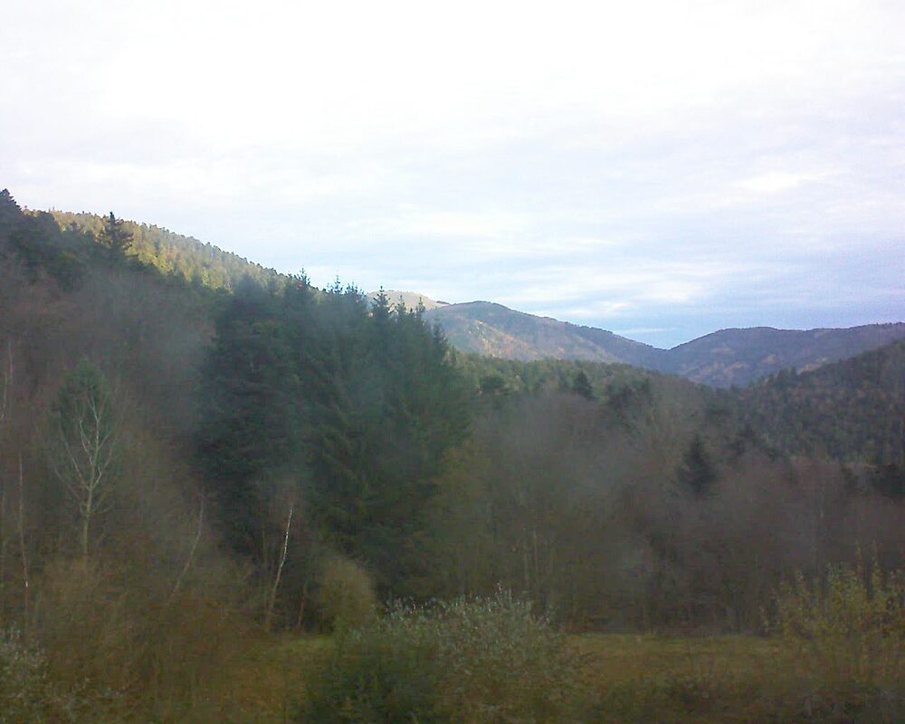 Le petit ballon (Alsace, Vosges) le 03.12.2025 à 08:45