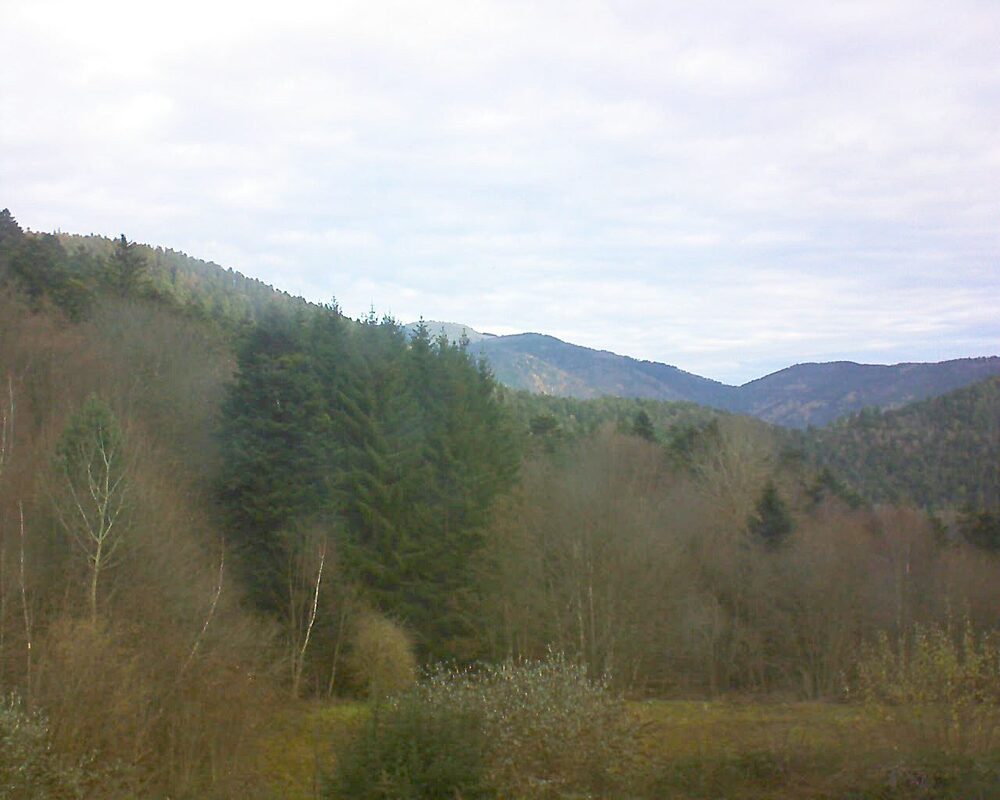 Le petit ballon vu depuis le Domaine Langmatt à Murbach le 03.12.2025 à 09:30 Le petit ballon (Alsace, Vosges) le 03.12.2025 à 09:30