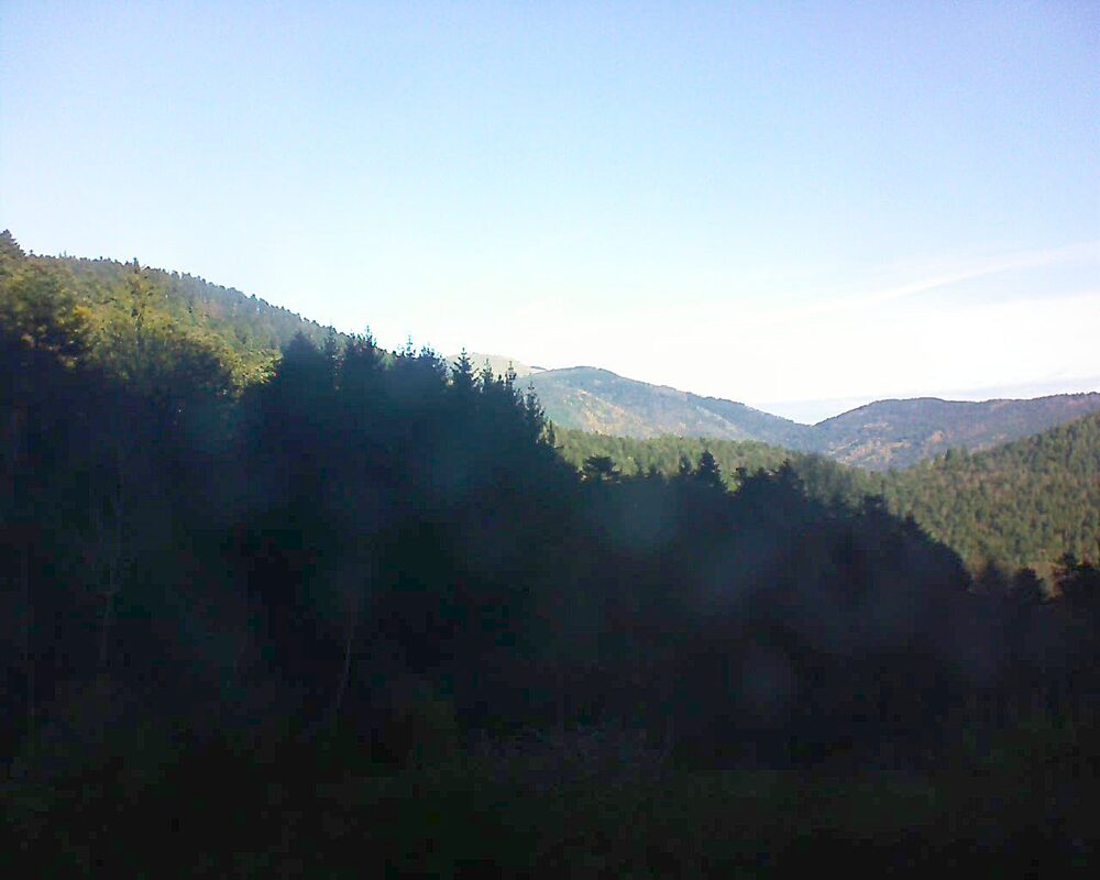 Le petit ballon (Alsace, Vosges) le 03.12.2025 à 10:45