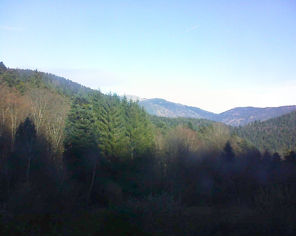 Le petit ballon (Alsace, Vosges) le 03.12.2025 à 11:15