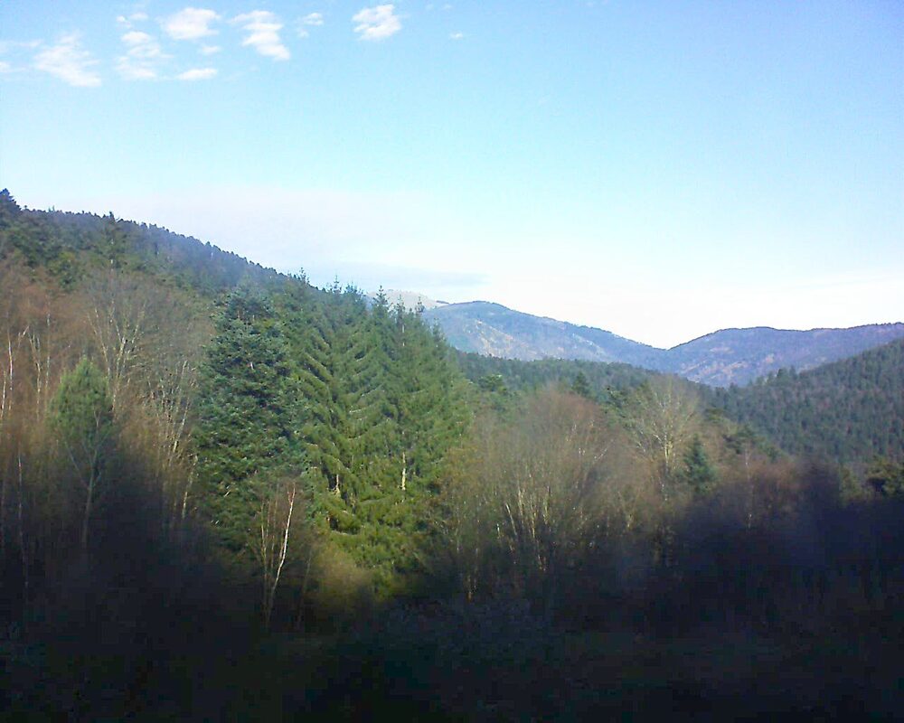 Le petit ballon vu depuis le Domaine Langmatt à Murbach le 03.12.2025 à 11:30 Le petit ballon (Alsace, Vosges) le 03.12.2025 à 11:30