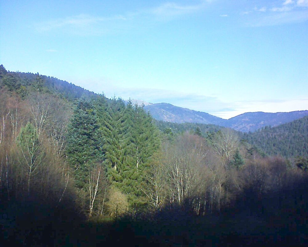 Le petit ballon vu depuis le Domaine Langmatt à Murbach le 03.12.2025 à 11:45 Le petit ballon (Alsace, Vosges) le 03.12.2025 à 11:45