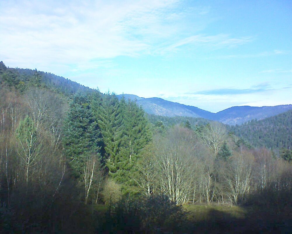 Le petit ballon (Alsace, Vosges) le 03.12.2025 à 12:15