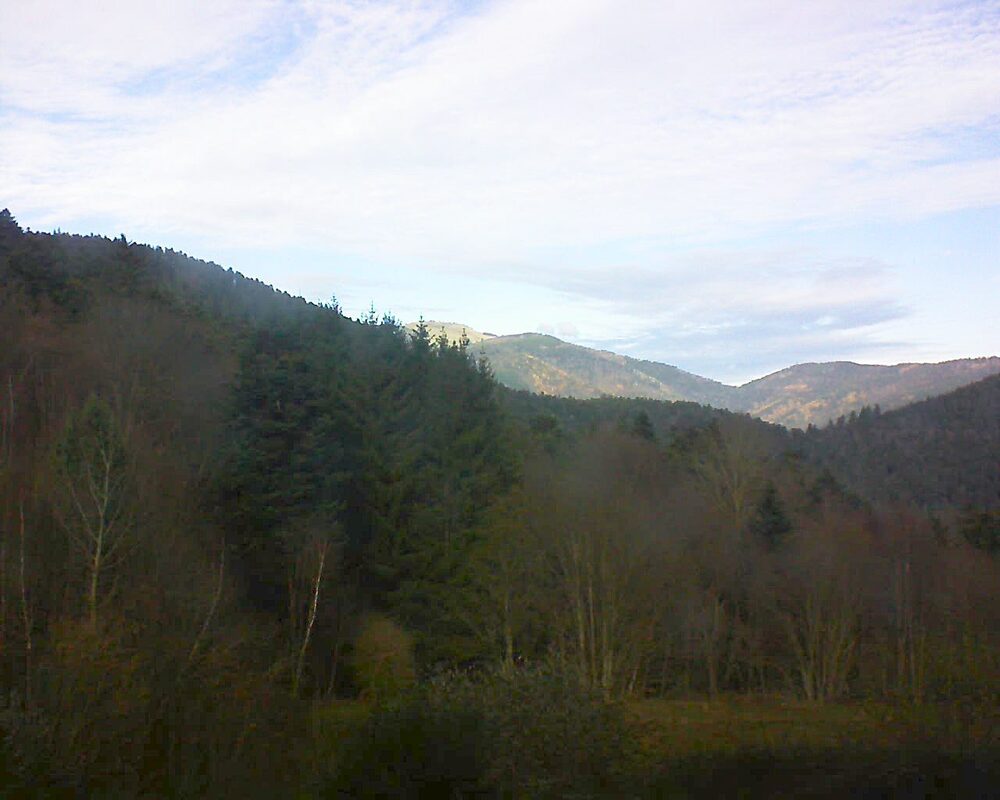 Le petit ballon (Alsace, Vosges) le 03.12.2025 à 12:30