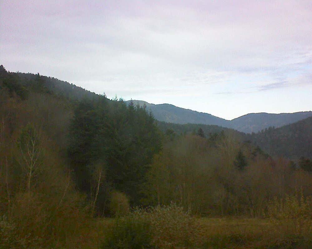 Le petit ballon (Alsace, Vosges) le 03.12.2025 à 13:30