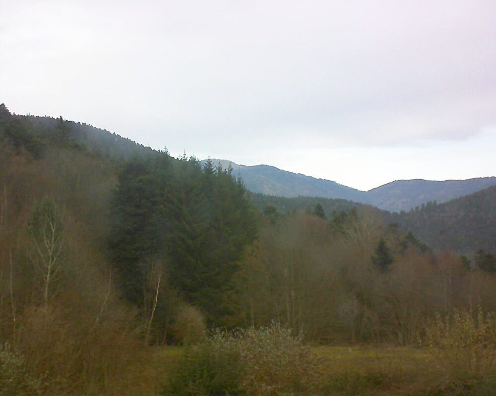 Le petit ballon (Alsace, Vosges) le 03.12.2025 à 13:45