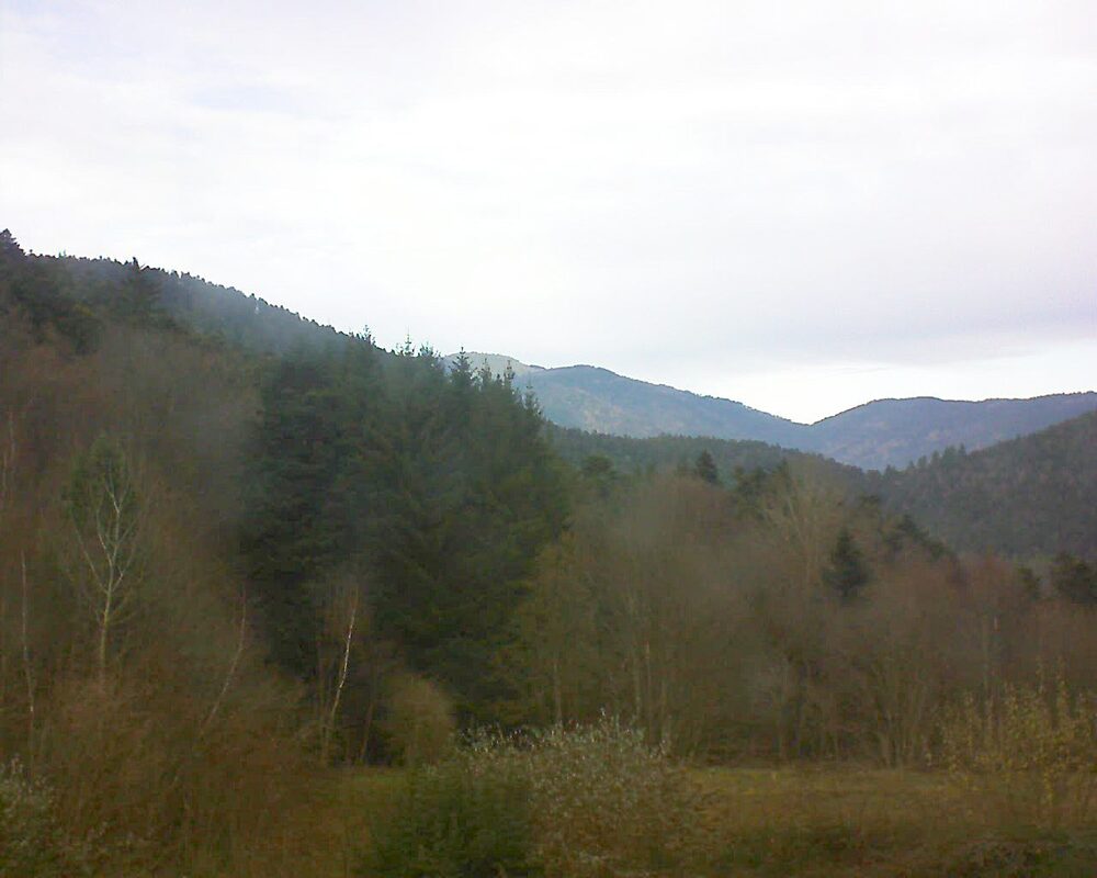 Le petit ballon (Alsace, Vosges) le 03.12.2025 à 14:00